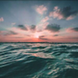 Meet your Posher, Brady